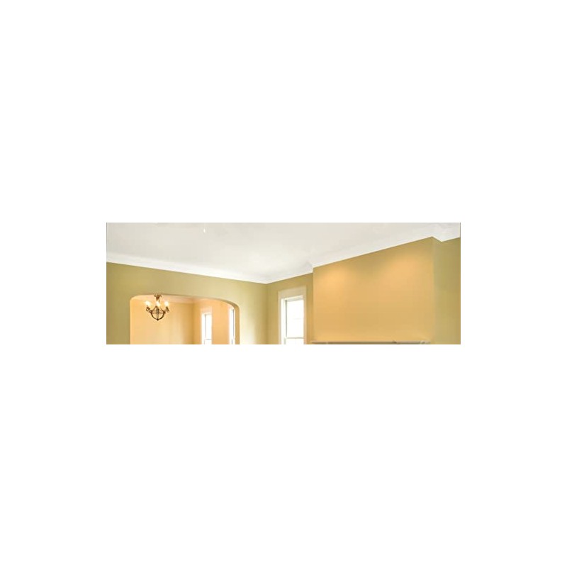 Zinsser 260967-2PK Ceiling Paint and Primer in One, Gallon, White,