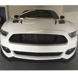 Grille Compatible With 2015-2017 Ford Mustang, CS Style ABS Silver Front Bumper Grill Hood Mesh by IKON MOTORSPORTS, 2016