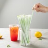 Restaurantware-Basic Nature 8.3 Inch Disposable Straws, 2000 Sustainable Straws -