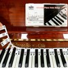 Removable Piano Keyboard Stickers for Beginners Piano Keys Note Alphabet