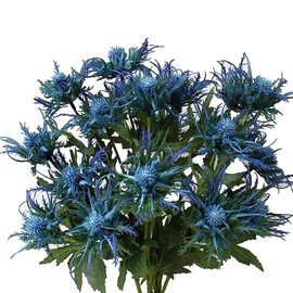 Fermus 5 Stems Artificial Thistle Flowers 5 Branch Real Touch Blue Thistle Decor 26 Inch Real Size Rustic Spray Eryngium Sea Holly for Wedding Bouquet Centerpiece (5 Branch)