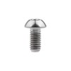 Ruifu Titanium Alloy Hex Socket Head Screw M4x6 8 10