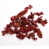 Pure Herbs: Dulse - 1 oz.