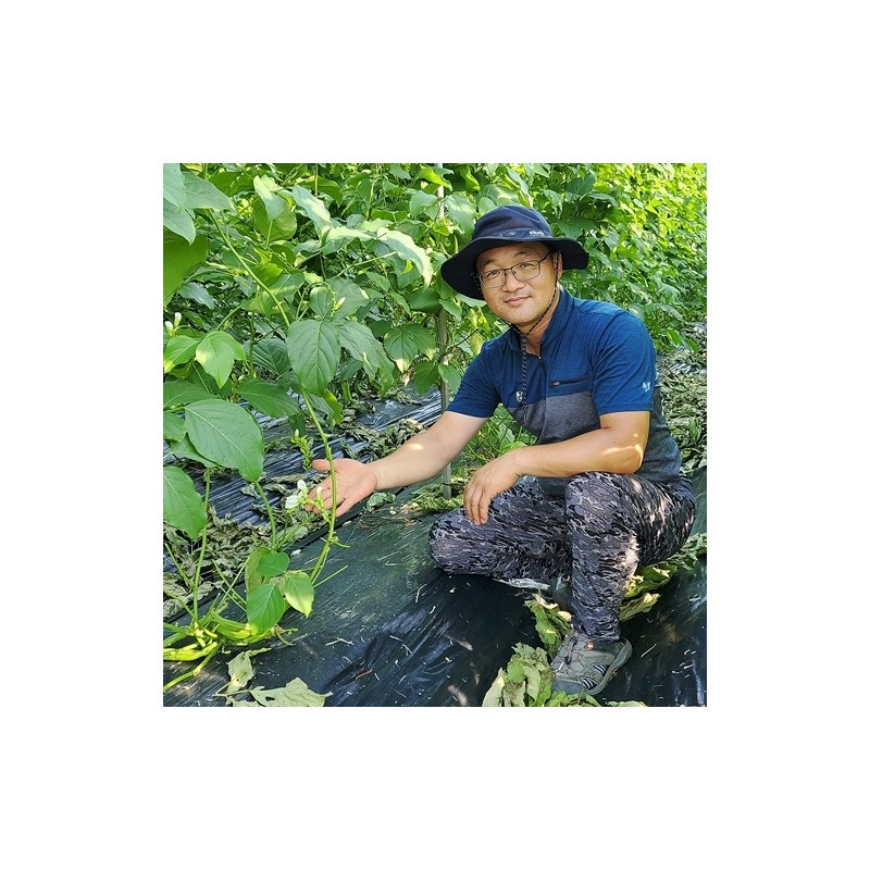 Danbi Farm domestically grown organic Bareunharu Jagbean Tea 120g Jakbean