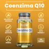 Coenzima Q10 30 Capsulas de 500 mg - Suministro para