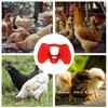 100 Pcs Chicken Eye Glasses, Reusable Chicken Blinders Non-Pecking Eye