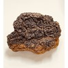 EPORASHE Delmi Light (1 Box) Birch Chaga
