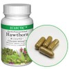 エクレクティック ホーソンベリー (セイヨウサンザシ) 500mg×45カプセル e381