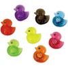 Pika Duck OISNS11904 Pack of 48