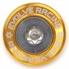 EVOLVERACING Anti-theft Bolt Set for License Plate Specific Vehicle Inspection