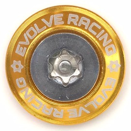 EVOLVERACING Anti-theft Bolt Set for License Plate Specific Vehicle Inspection (Gold Bolt Length 1.0 inches (25 mm)