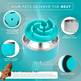 FAHRMOSIS 32 Oz Dog Bowl with Slow Feeder Insert Stainless Steel Pet Water Bowl for Medium & Large Breed Non Slip Rubber Base & Plastic Puzzle Feeder - Teal