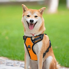 PoyPet No Pull Dog Harness with Front Clip, Comfortable Reflective Pet Vest Harness with Handle for Puppy Small Dog (Orange, XS)
