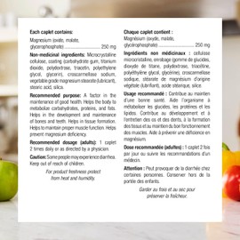 Webber Naturals Magnesium 250 mg, 210 Caplets, Supports Bone and Muscle Functions, Vegan