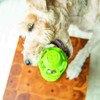 JW Pet Hol-ee Bottle Dog Chew Puzzle Toy, Medium