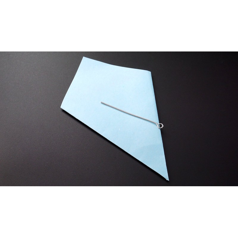 Pet Paw Cylinder Ashes Holder Memorial Keepsake, FCZDQ Stainless Steel