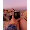 caáMate Bombilla, Mate Tea Straw, Spoon Shape, Stainless Steel, 16
