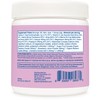 Wellah Splish Splash Hydration Electrolyte Drink Mix (Blueberry Pomegranate Flavored,