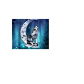 Fashion Jewelry WOLF CRESCENT MOON Pendant Charm 925 Sterling Silver 20" Necklace women