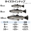 Savage Gear (サベージギア) 3Dパルステールトラウト 10インチ ファストシンキング コカニートラウト 3DPulsetail Trout 10IN