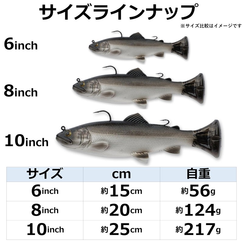 Savage Gear (サベージギア) 3Dパルステールトラウト 10インチ ファストシンキング コカニートラウト 3DPulsetail Trout 10IN