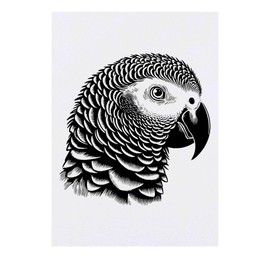 Azeeda 'Graupapagei' Temporäres Tattoo - Hautfreundlicher & Ungiftiger Abziehbild · Wasserfest (TO00084965)