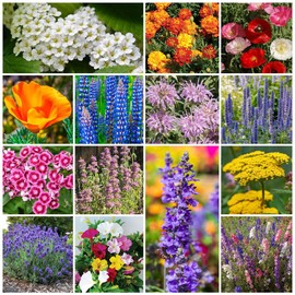 Park Seed Grow Your Own Vibrant Annual and Perennial Wildflower Garden Seed Mixture, Easy to Grow Varieties for Pollinators and Spring Gardens - Deer Resistant Mix, 1 lb