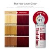 Kiss Tintation Semi-Permanent Hair Color 5 Ounce, T740 Rose Gold