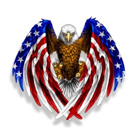 Real Sticky Bald Eagle USA American Flag Sticker Car Truck Laptop Window Decal Bumper Cooler