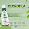 2 Clorofila Líquida Evita Mal Aliento Mejora Digestión