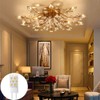 GY6.35 LED Bulb 5W Equivalent to 50W Bi-pin Base Halogen