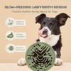 Lesipee Slow Feeder Dog Bowl for Large & Small Pets,