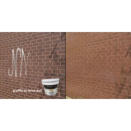 Graffiti Solutions - Elephant Snot Graffiti Remover - 1 Quart