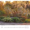DUMONT English Gardens 2025 Wall Calendar, 38 x 35.5 cm,