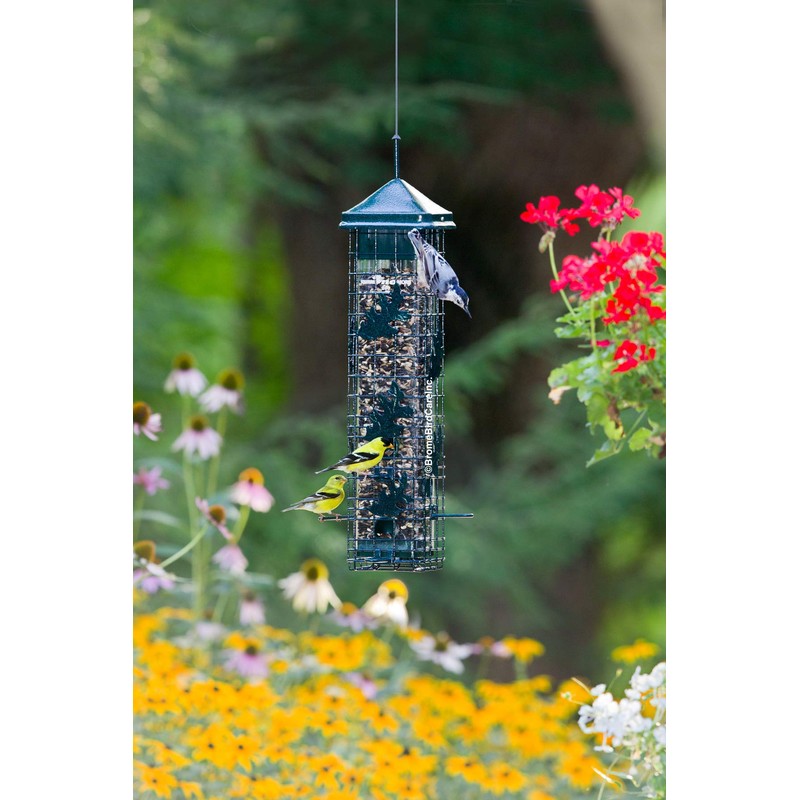 Squirrel Solution200 Squirrel-proof Bird Feeder w/6 Feeding Ports, 3.4-pound Seed