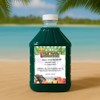 Tropical Sensations Blue Raspberry Granita Slushie Mix – 6 Bottles,