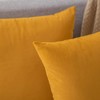 Rythome Set of 2 Velvet Throw Pillow Covers for Couch