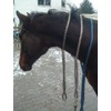 Cotton Neck Ring Horse Riding Brown / Natural Size Full