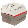 Organic Chemistry Student Molecular Model Kit by Molecularity 200 +