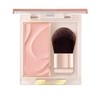 excel Seamless Stone Blush SB02 (Sister) Cheek