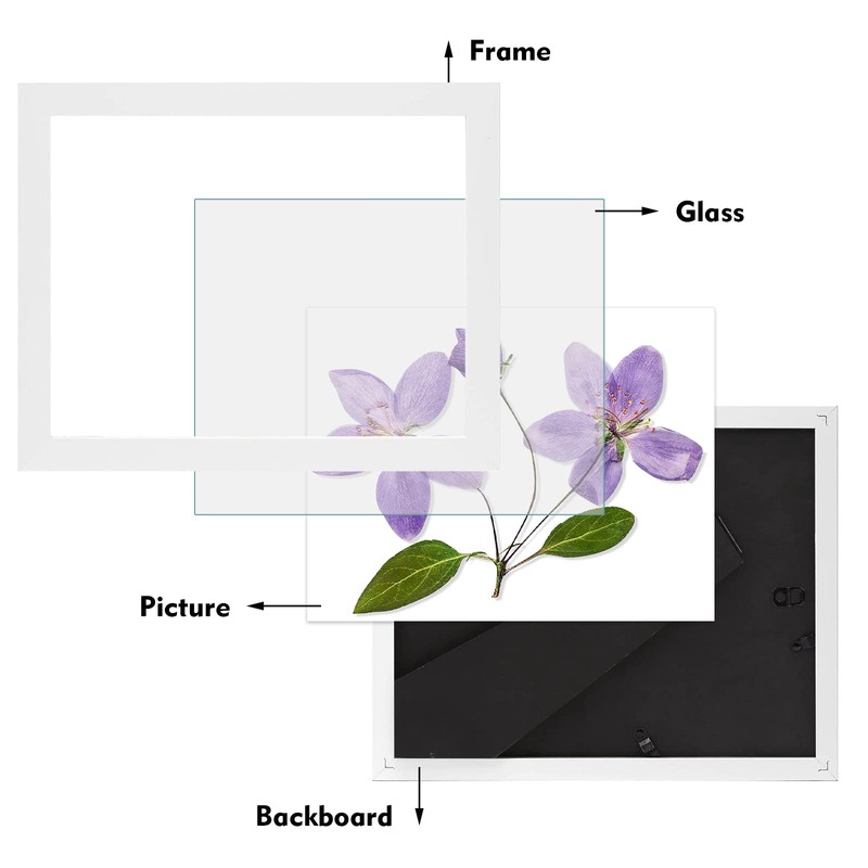 Frametory, Document/Diploma Table-Top Frame for 8.5x11 Picture & Real Glass