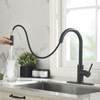RULIA Matte Black Kitchen Faucet, Black Faucet, Kitchen Sink Faucet,
