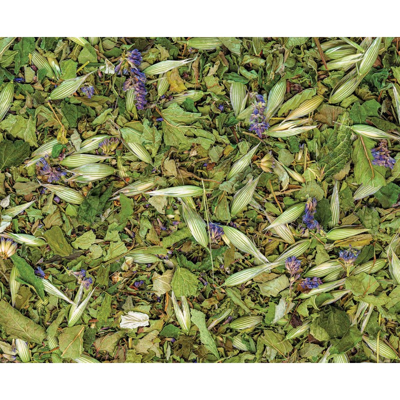 Sacred Blossom Farm | Turtle | Loose Leaf Herbal Tea