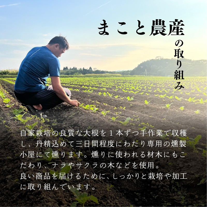 Makoto Agricultural Iburigakko Slices (Set of 3)