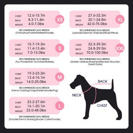 FUAMEY Dog Recovery Suit Male,Dogs Surgery Neuter Suits Puppy Spay Shirts for Female Protect Dog's Skin Anti Licking Abdominal Wounds Doggie Onesie Pet Bodysuit Alternative to Cone Grey Camouflage L