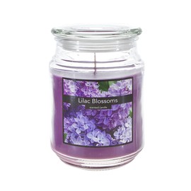 SRG Scented 18 Ounce Glass Jar Container Candle - Lilac Blossom