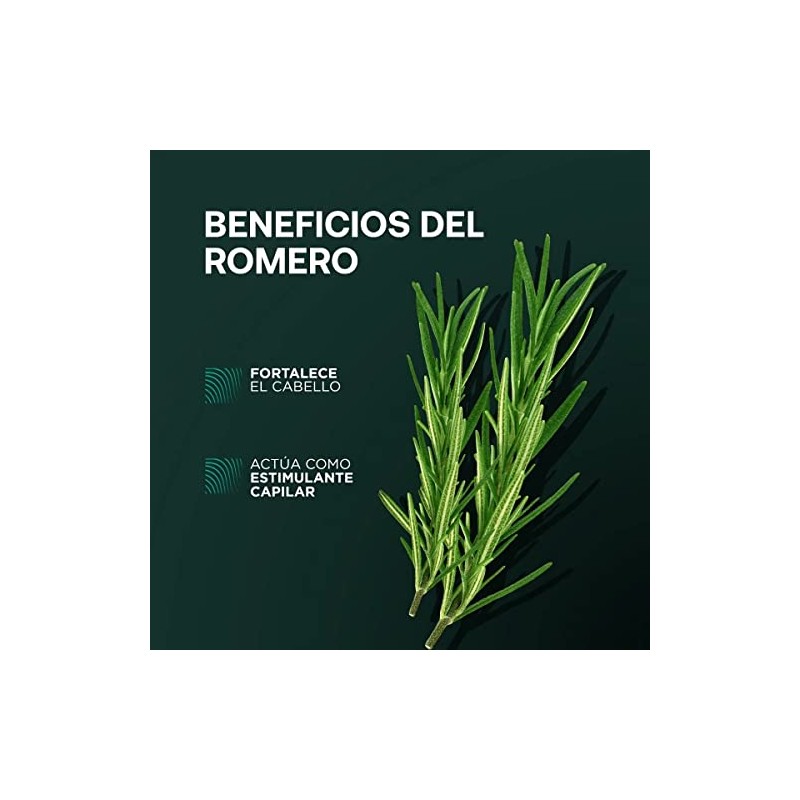 HAIR BIRTH LAB Shampoo Sólido Anticaída Romerox con Extracto de