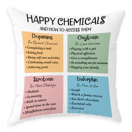 Guawubiang Happy Chemicals, Mental Health Pillow Cover, Ordinary Velvet Throw Cover, Suitable for Psychology Counseling Therapy Office Decoration decor18 x 18 in
