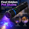 365nm UV Flashlight for Pet Stain Detection – Dual-Mode Blacklight