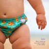 Bambino Mio Reusable Swim Nappy Pant, (12-15 kg) Age 2-3